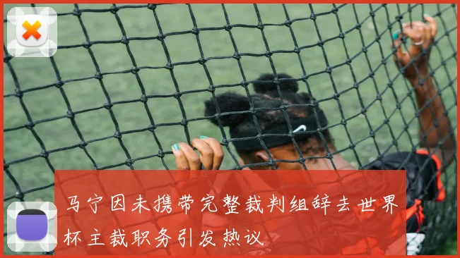 马宁因未携带完整裁判组辞去世界杯主裁职务引发热议