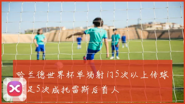 哈兰德世界杯单场射门5次以上传球不足5次成托雷斯后首人