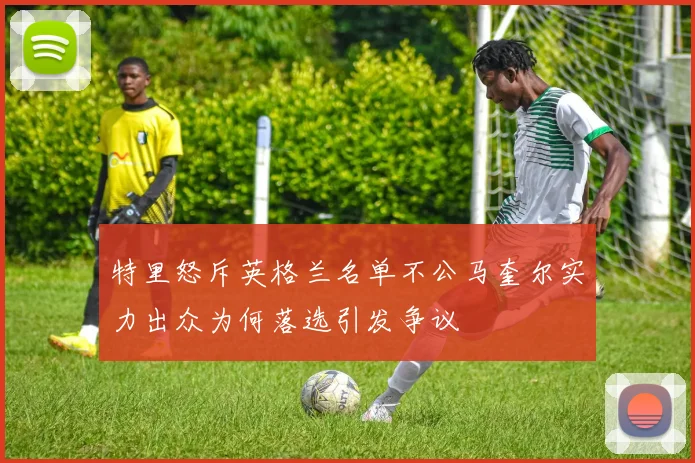 特里怒斥英格兰名单不公马奎尔实力出众为何落选引发争议